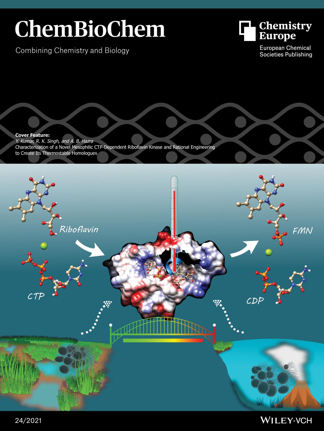 Cover Feature: Characterization of a Novel Mesophilic CTPâDependent Riboflavin Kinase and Rational Engineering to Create Its Thermostable Homologues (ChemBioChem 242021) by Unknown