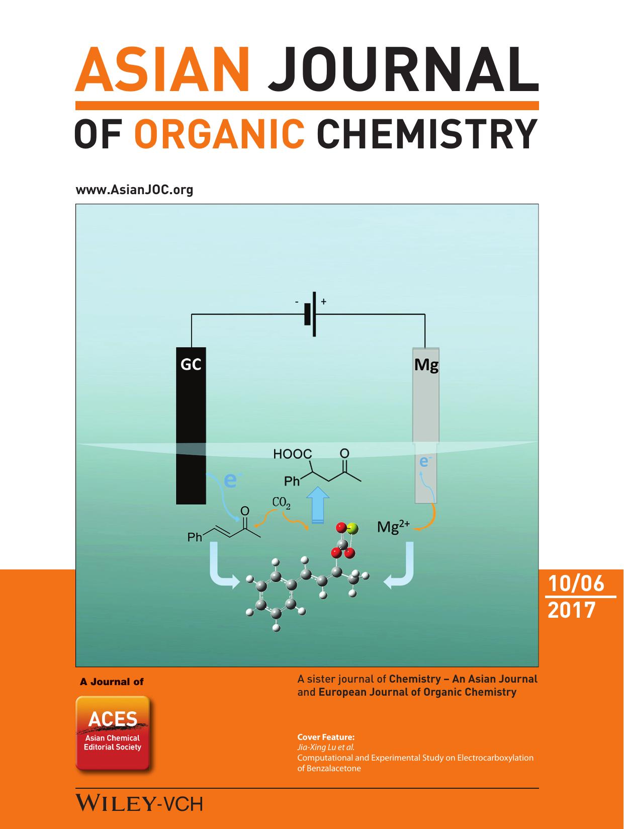 Cover Feature: Computational and Experimental Study on Electrocarboxylation of Benzalacetone (Asian J. Org. Chem. 102017) by Unknown