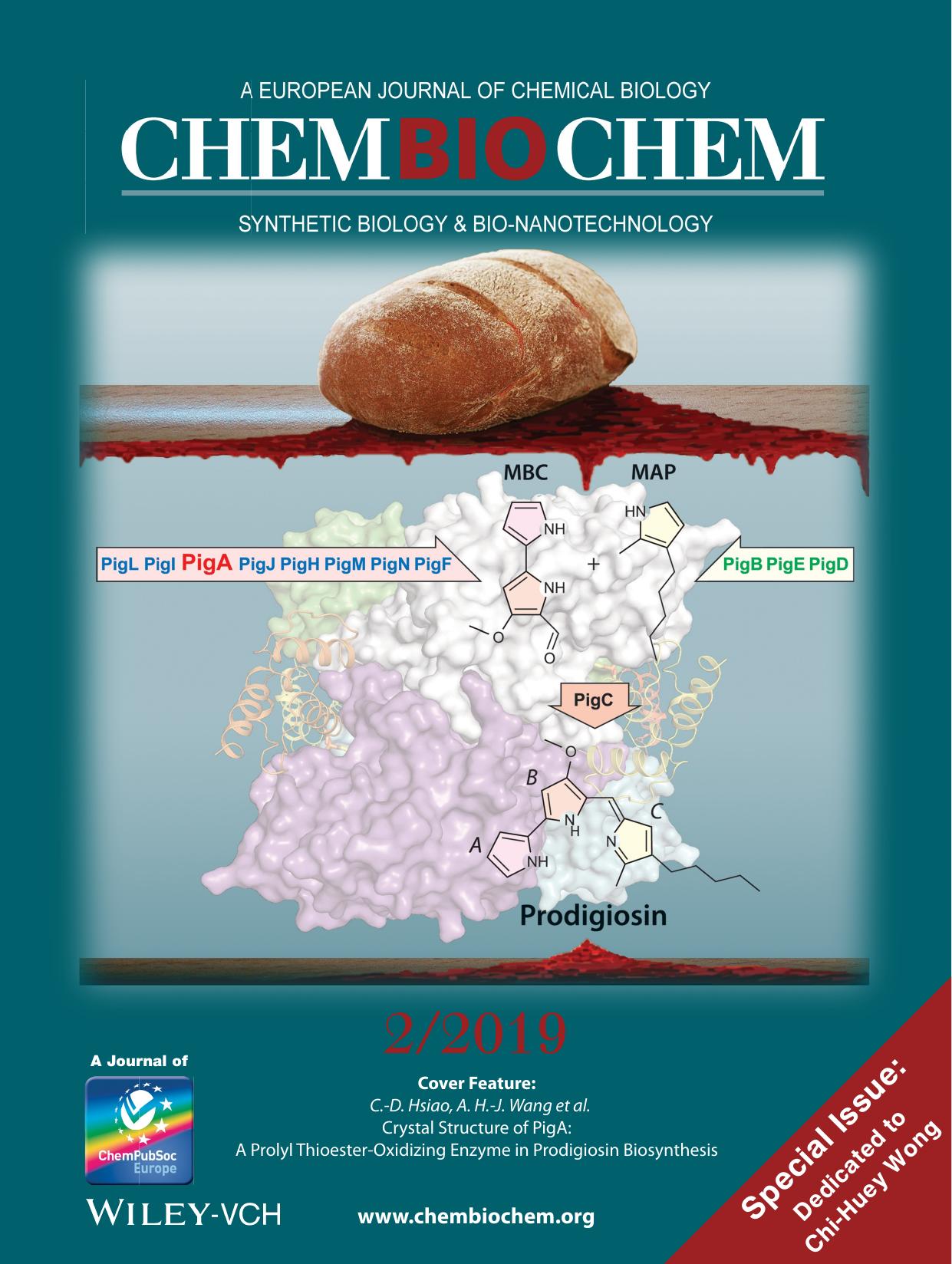 Cover Feature: Crystal Structure of PigA: A Prolyl ThioesterâOxidizing Enzyme in Prodigiosin Biosynthesis (ChemBioChem 22019) by Unknown