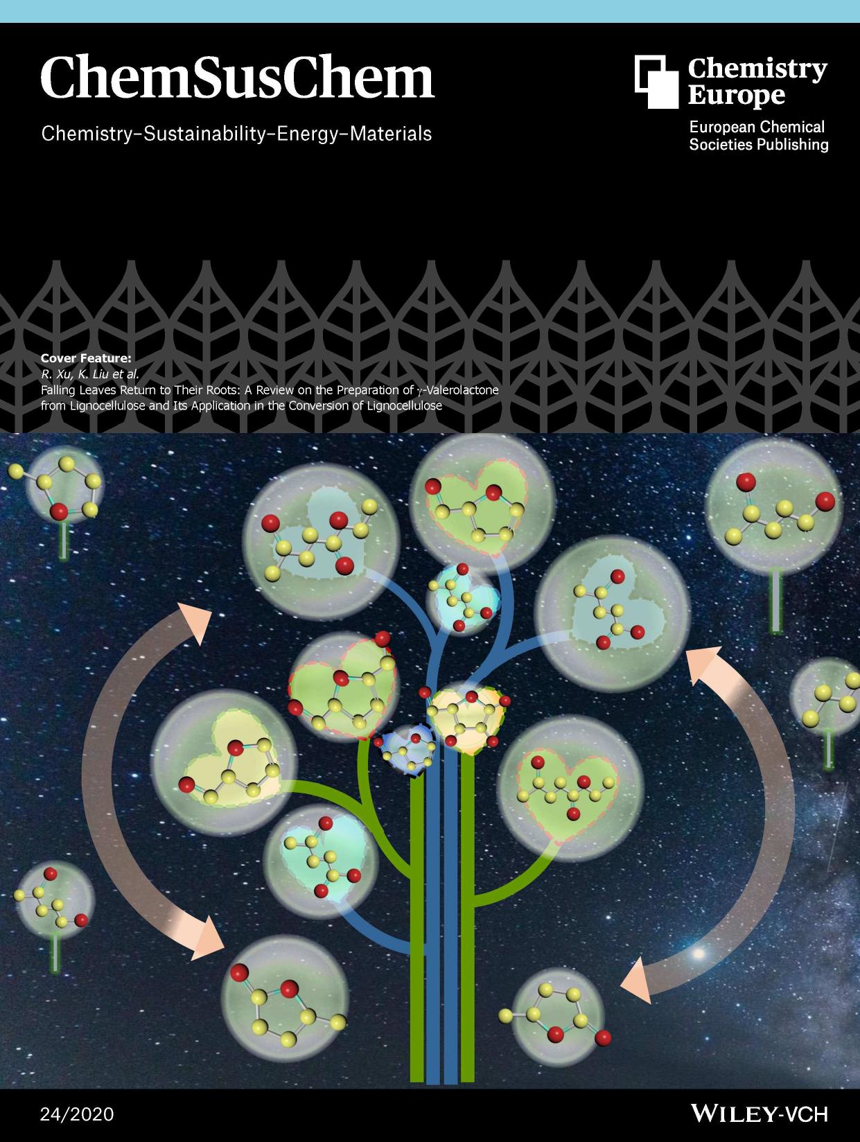 Cover Feature: Falling Leaves Return to Their Roots: A Review on the Preparation of Î³âValerolactone from Lignocellulose and Its Application in the Conversion of Lignocellulose (ChemSusChem 242020) by Unknown