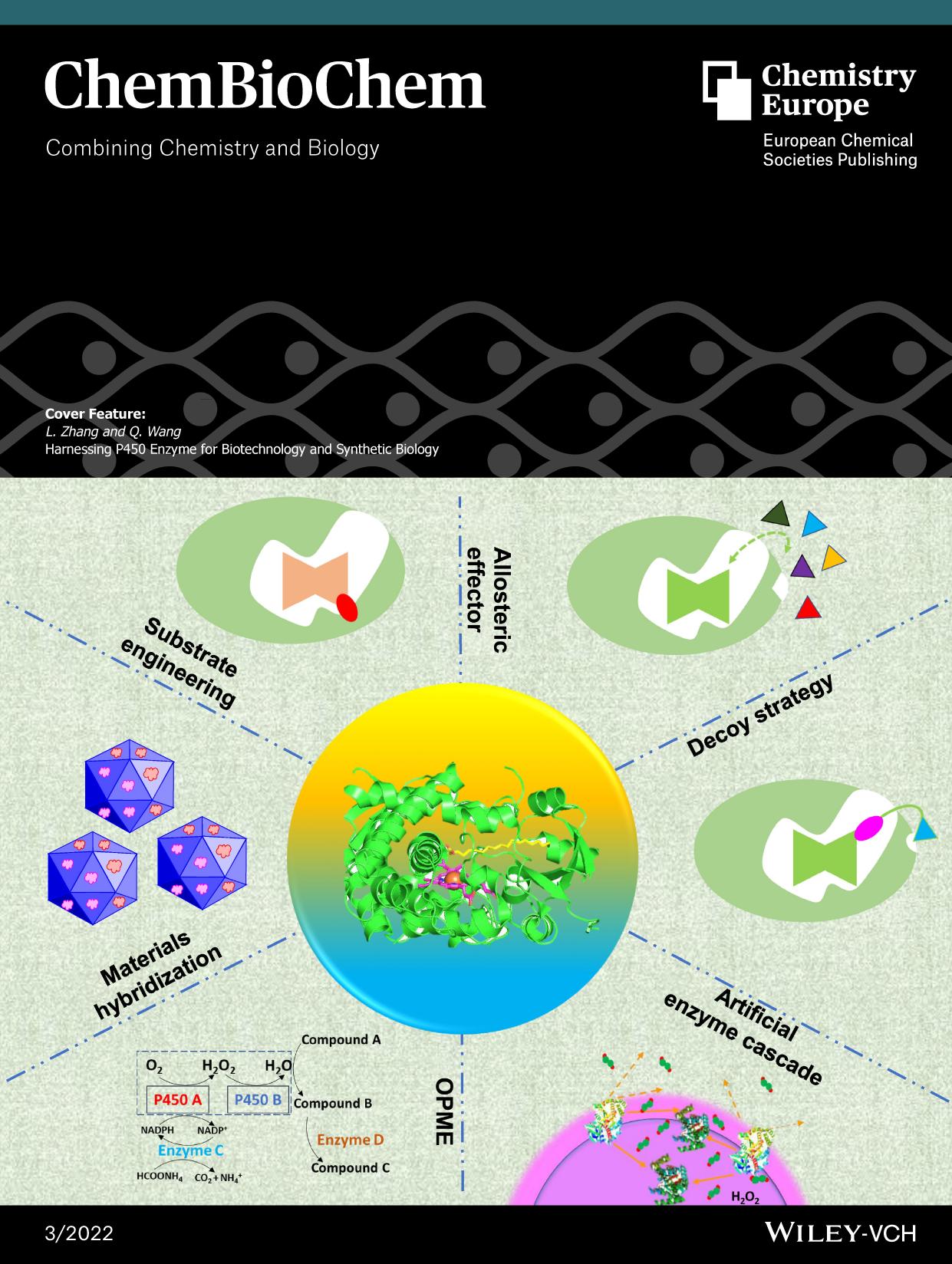 Cover Feature: Harnessing P450 Enzyme for Biotechnology and Synthetic Biology (ChemBioChem 32022) by Unknown