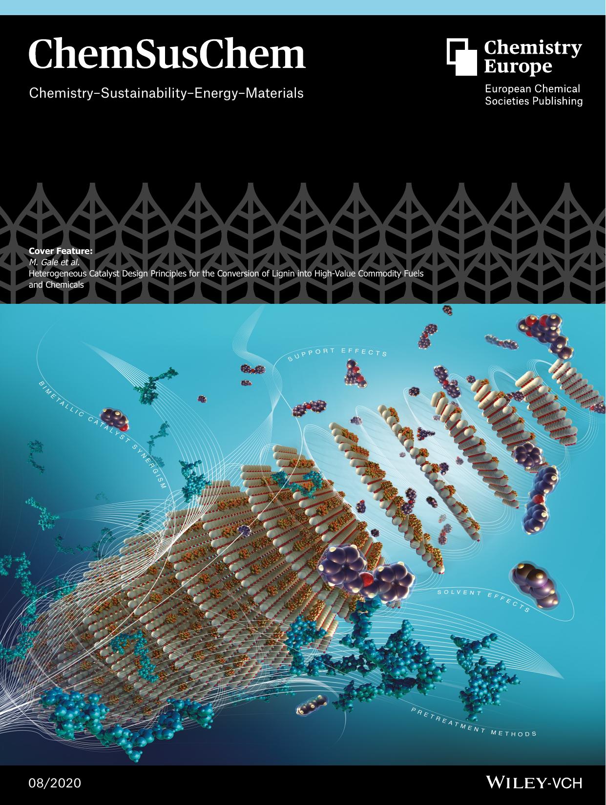 Cover Feature: Heterogeneous Catalyst Design Principles for the Conversion of Lignin into HighâValue Commodity Fuels and Chemicals (ChemSusChem 82020) by Unknown