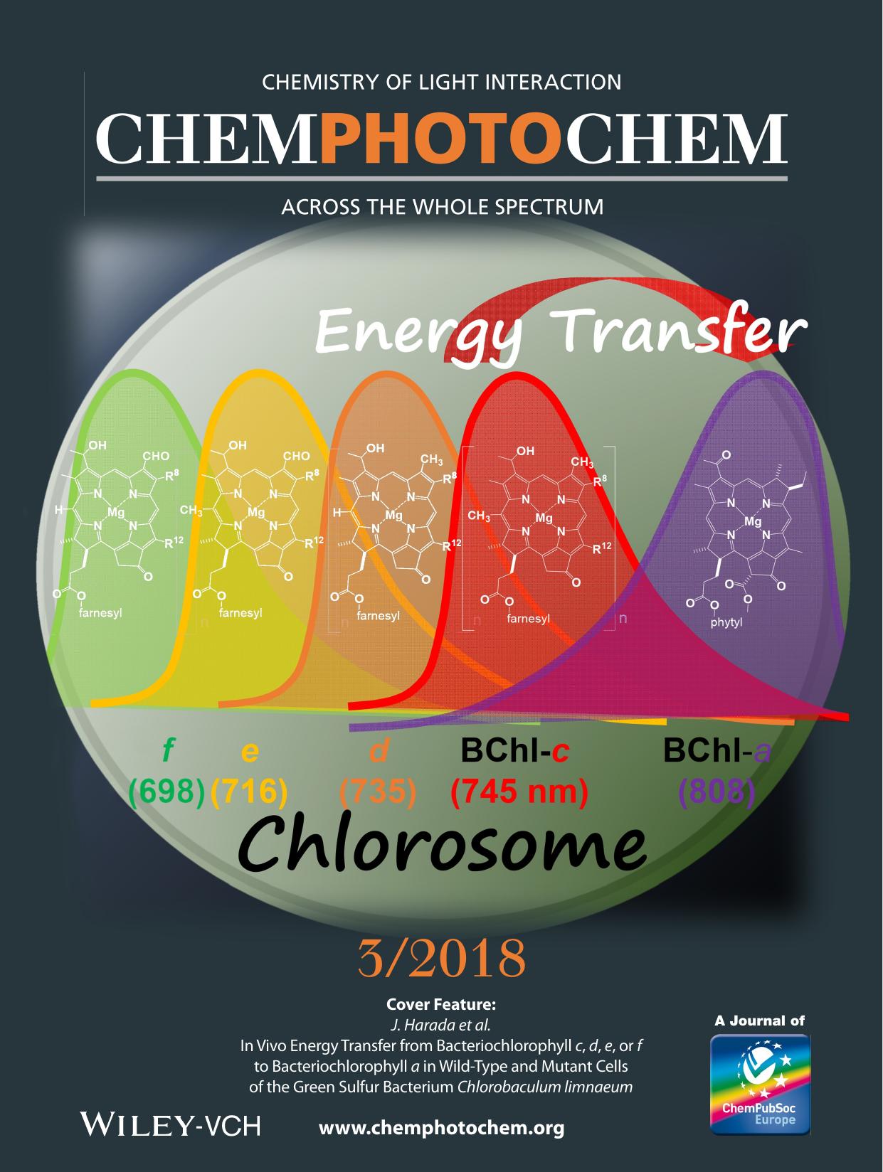 Cover Feature: InâVivo Energy Transfer from Bacteriochlorophyllâc, d, e, or f to Bacteriochlorophyllâa in WildâType and Mutant Cells of the Green Sulfur Bacterium Chlorobac by Unknown