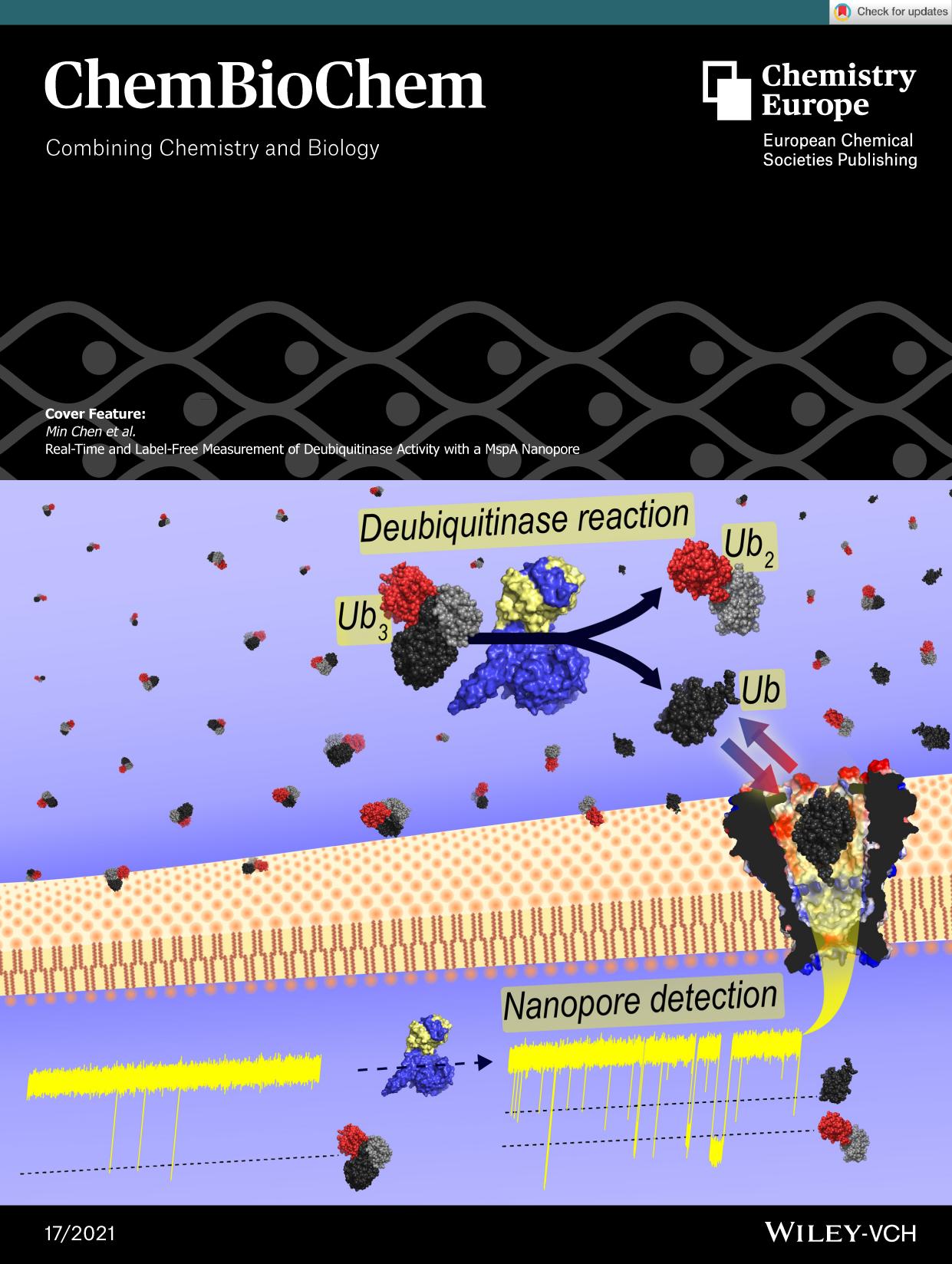 Cover Feature: RealâTime and LabelâFree Measurement of Deubiquitinase Activity with a MspA Nanopore (ChemBioChem 172021) by Unknown