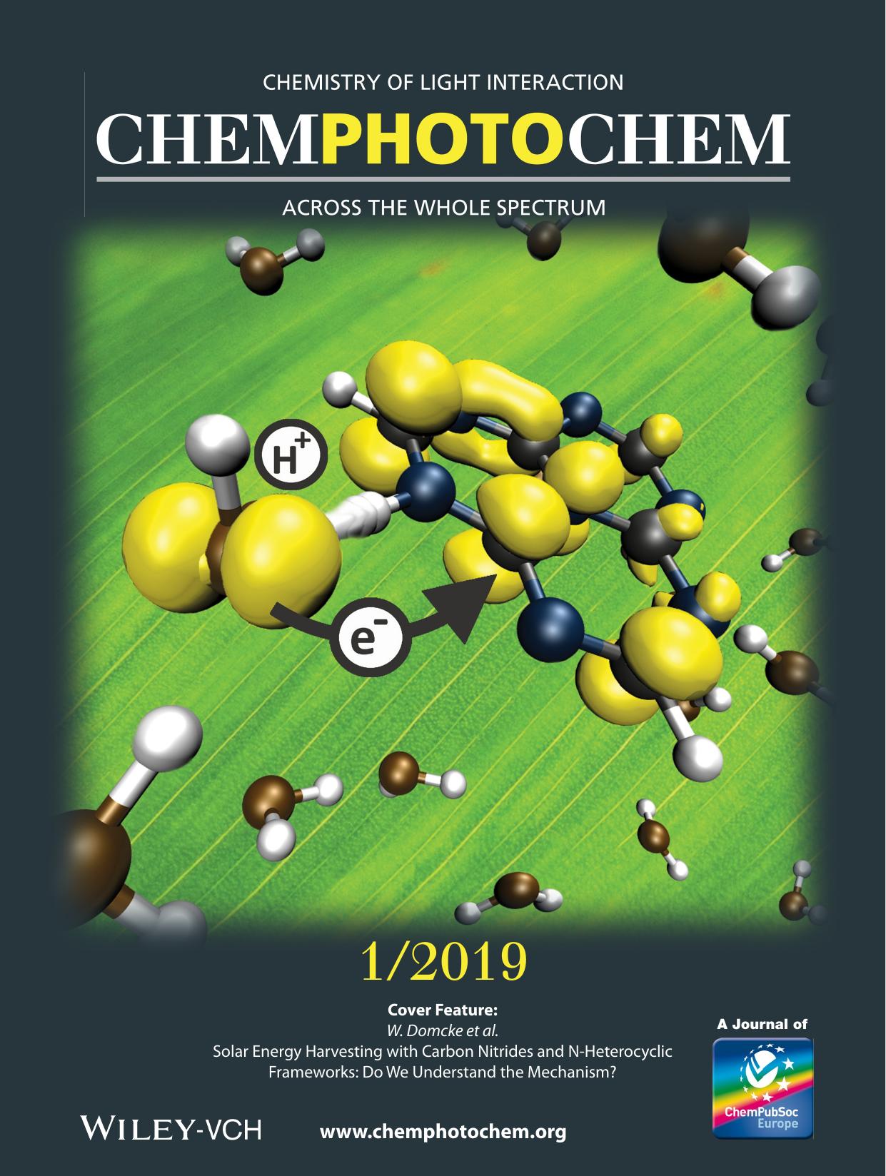 Cover Feature: Solar Energy Harvesting with Carbon Nitrides and NâHeterocyclic Frameworks: Do We Understand the Mechanism? (ChemPhotoChem 12019) by Unknown