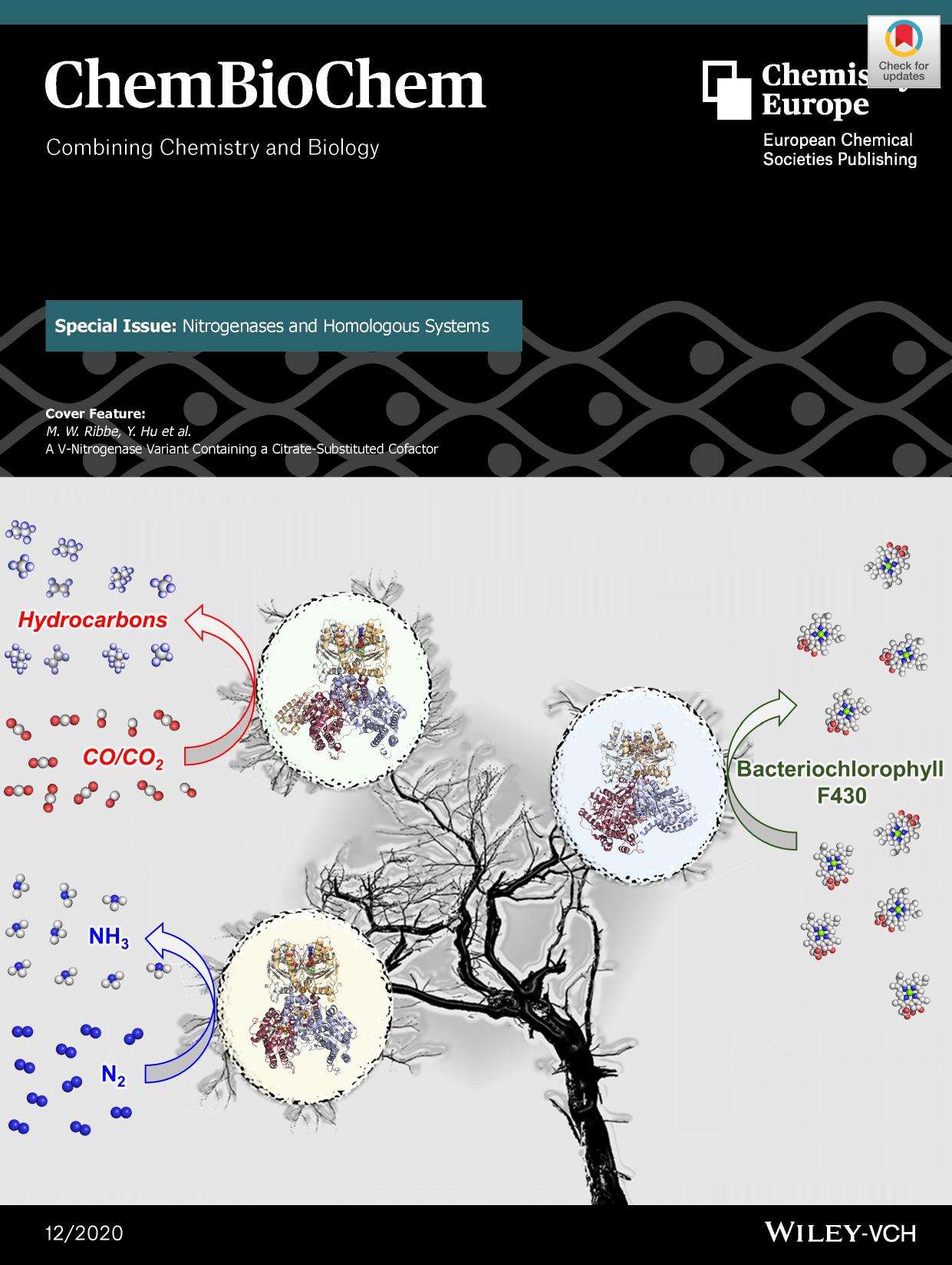 Cover Feature: Special Issue on Nitrogenases and Homologous Systems (ChemBioChem 122020) by Unknown