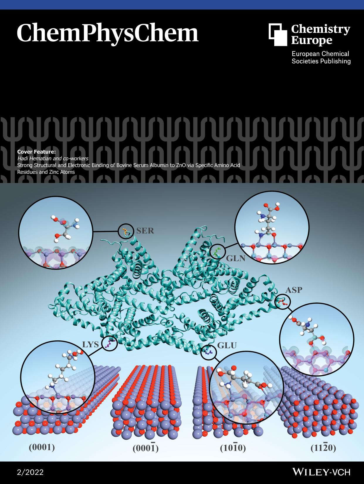 Cover Feature: Strong Structural and Electronic Binding of Bovine Serum Albumin to ZnO via Specific Amino Acid Residues and Zinc Atoms (ChemPhysChem 22022) by Unknown