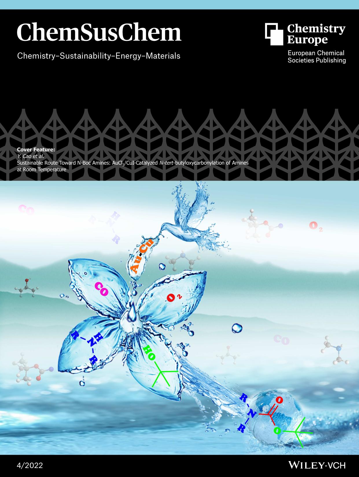 Cover Feature: Sustainable Route Toward NâBoc Amines: AuCl3CuIâCatalyzed Nâtertâbutyloxycarbonylation of Amines at Room Temperature (ChemSusChem 42022) by Unknown