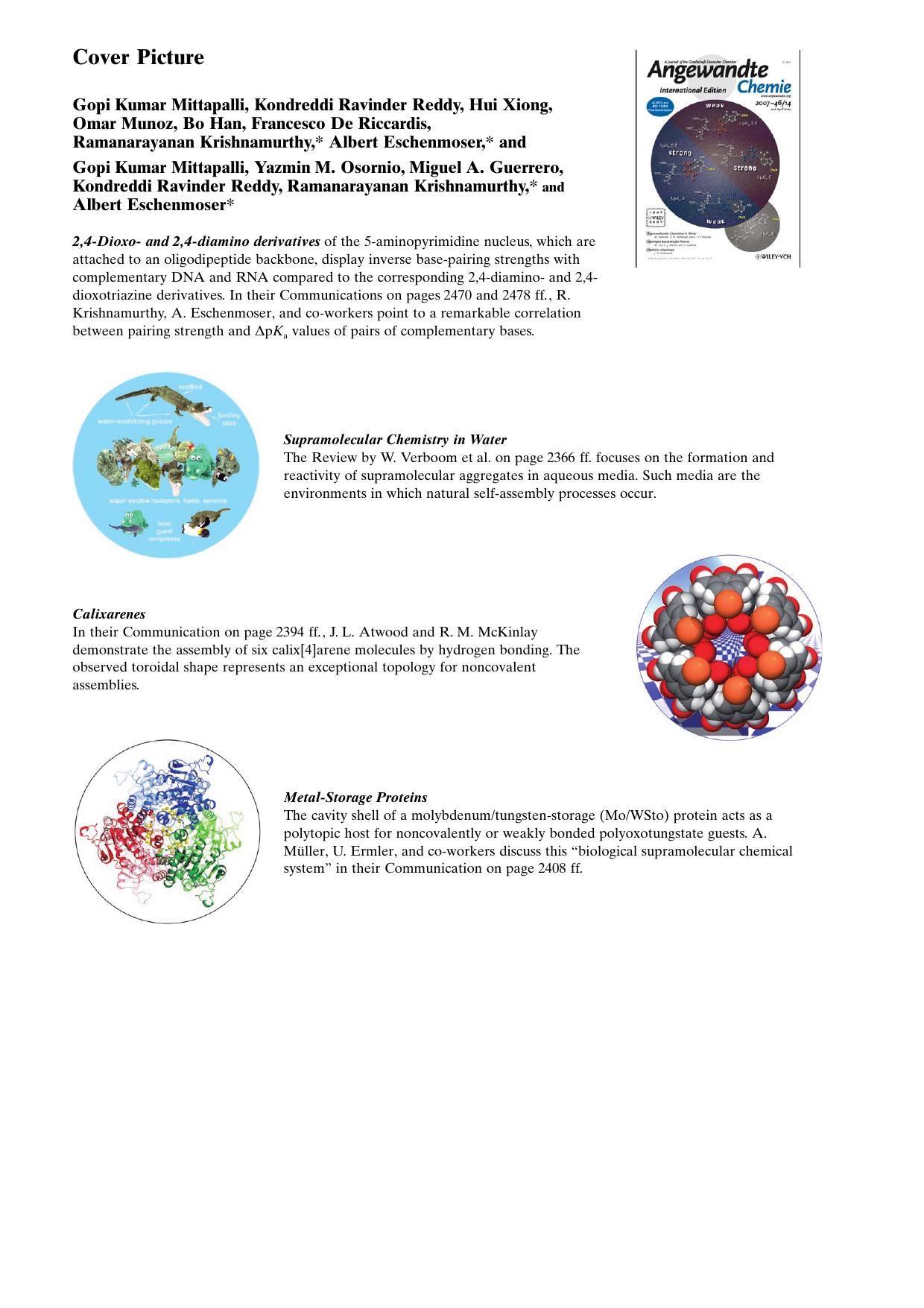 Cover Picture: Mapping the Landscape of Potentially Primordial Informational Oligomers: Oligodipeptides and Oligodipeptoids Tagged with Triazines as Recognition Elements Mapping t by Unknown