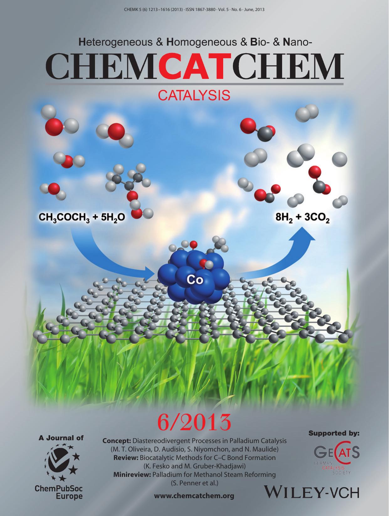 Cover Picture: Minimizing the Formation of Coke and Methane on Co Nanoparticles in Steam Reforming of BiomassDerived Oxygenates (ChemCatChem 62013) by Unknown