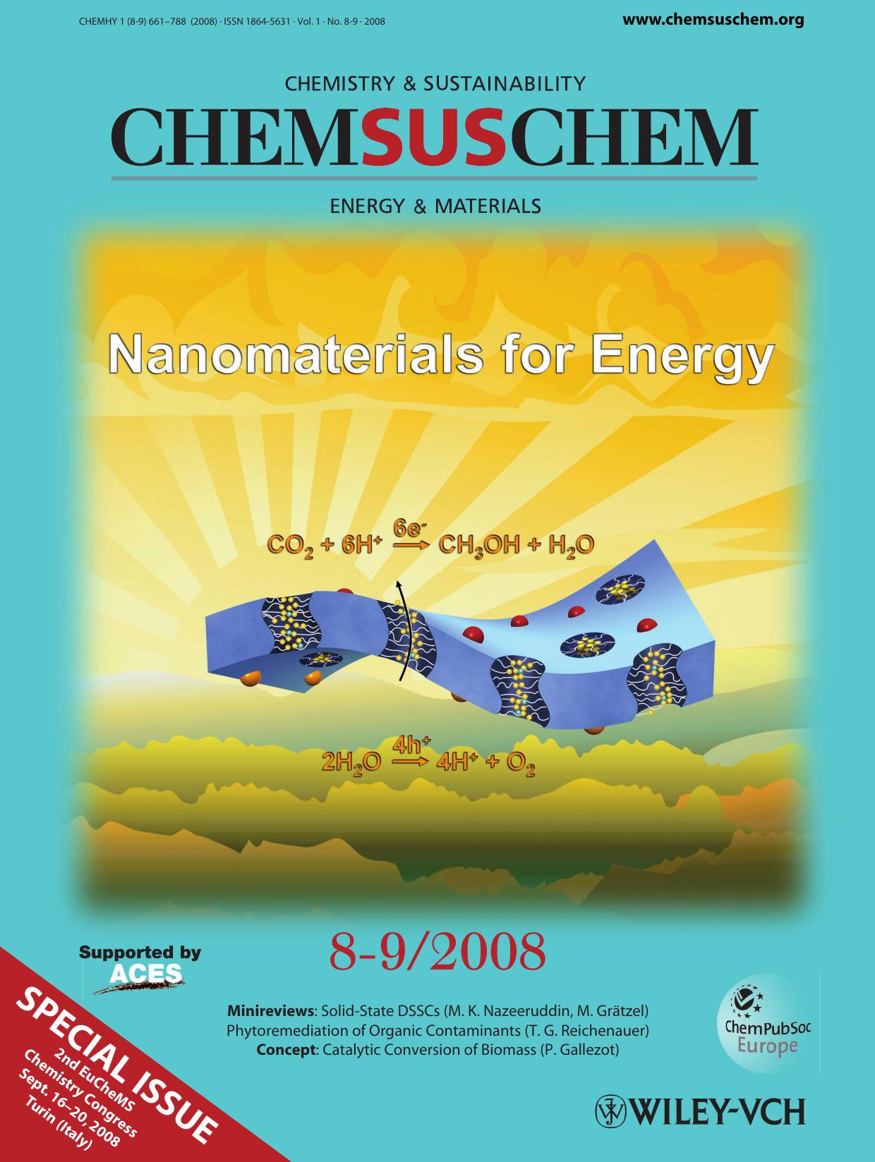 Cover Picture: Oriented Nanostructures for Energy Conversion and Storage (ChemSusChem 8-9-92008) by Unknown