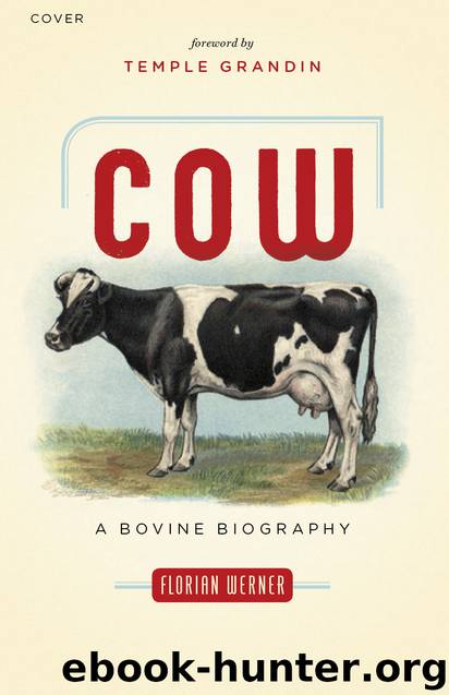 Cow: A Bovine Biography by Florian Werner