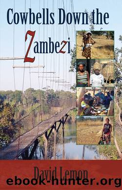Cowbells Down the Zambezi by David Lemon
