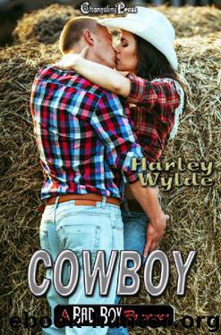Cowboy (A Bad Boy Romance 4) by Harley Wylde & Jessica Coulter Smith