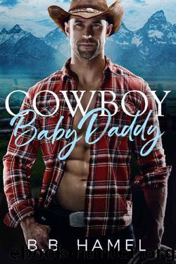 Cowboy Baby Daddy by B. B. Hamel
