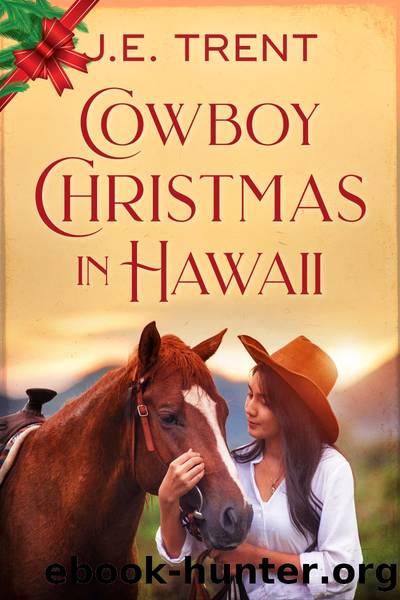 Cowboy Christmas in Hawaii by J.E. Trent