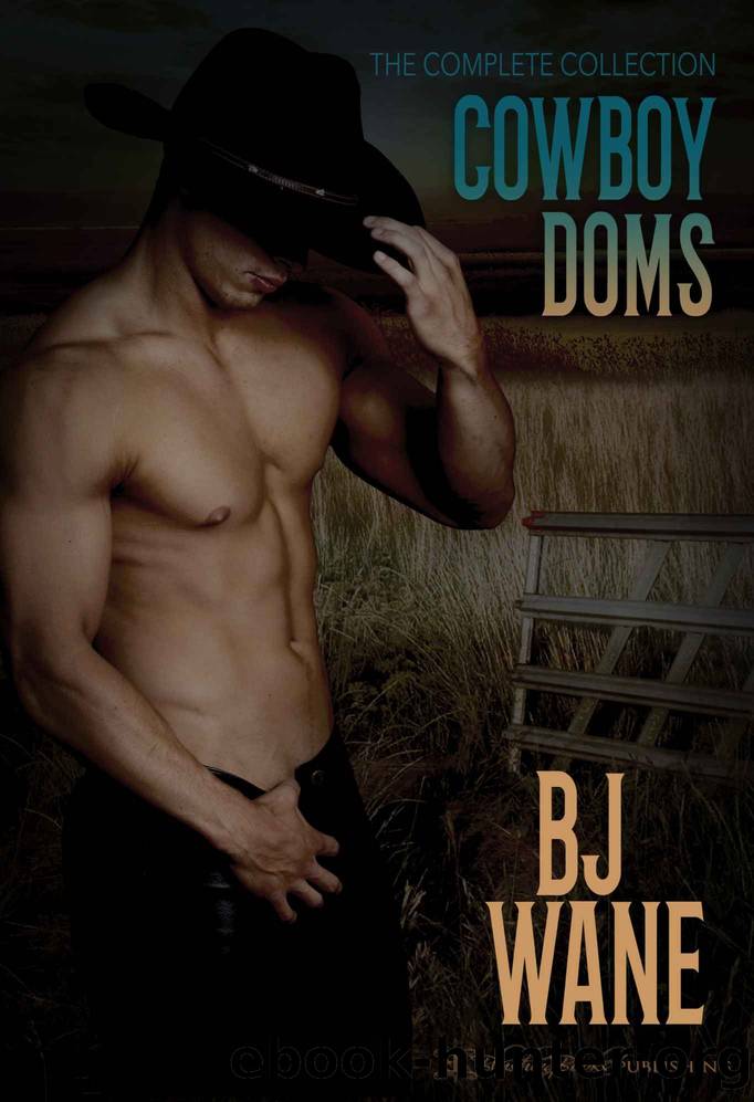 Cowboy Doms Collection by BJ Wane