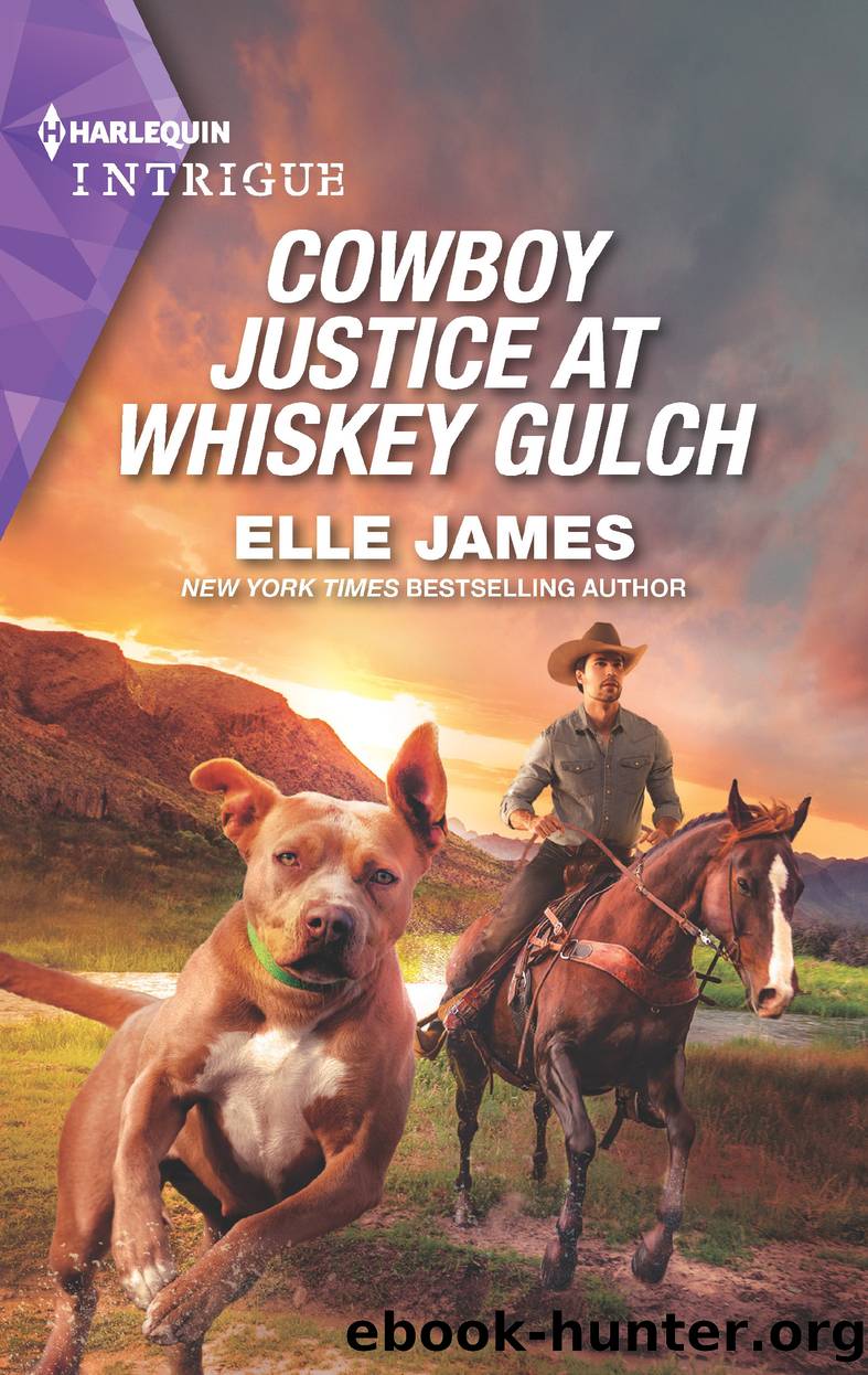 Cowboy Justice at Whiskey Gulch by Elle James