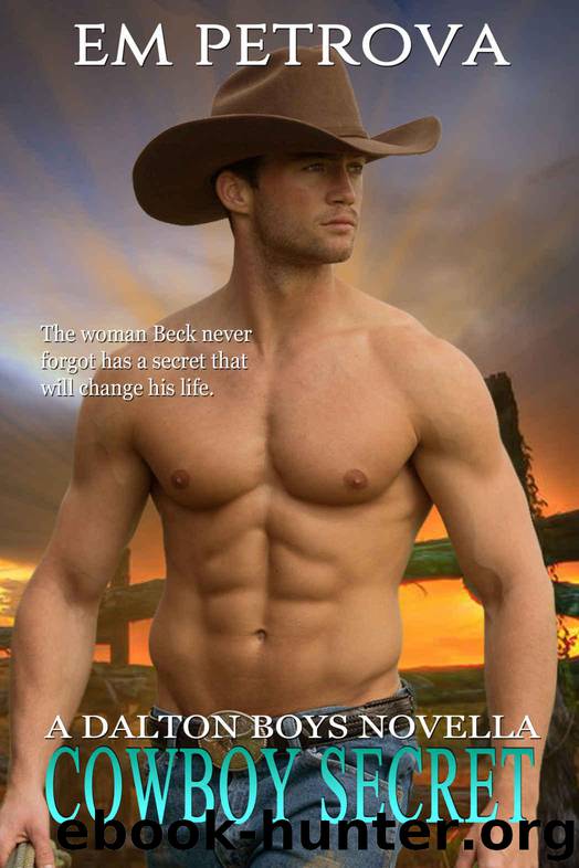 Cowboy Secret by Petrova Em