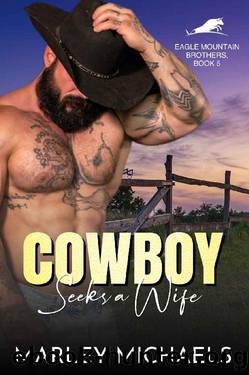 Cowboy Seeks a Wife (Eagle Mountain Brothers Book 5) by Marley Michaels