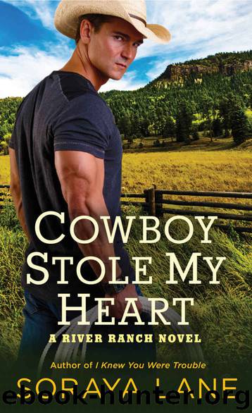 Cowboy Stole My Heart by Lane Soraya