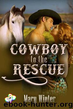 Cowboy To The Rescue (2 Hearts Rescue South Book 4) by Mary Winter