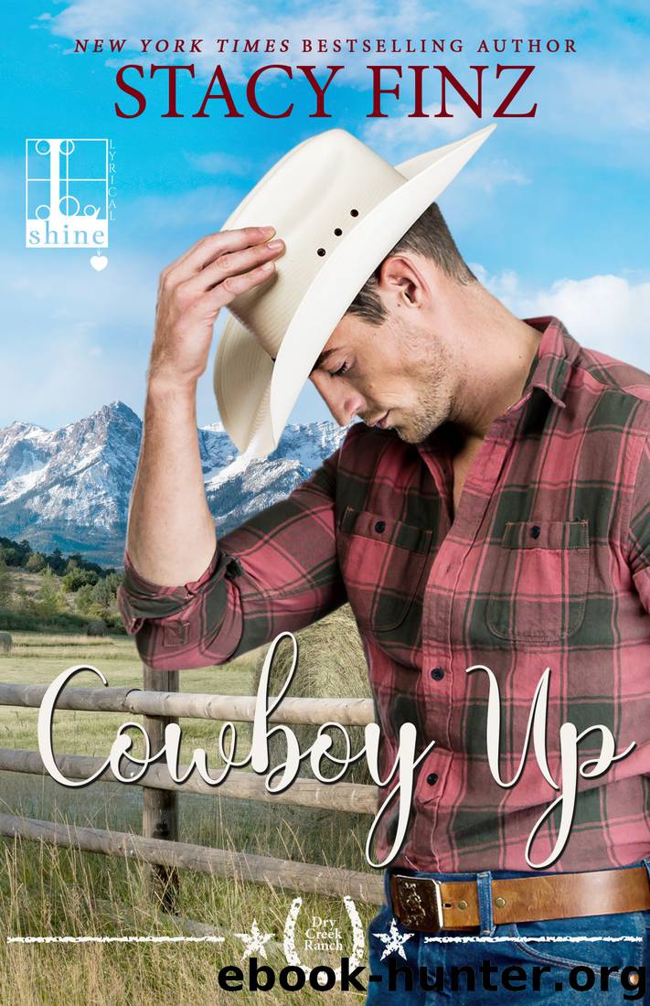Cowboy Up by Stacy Finz
