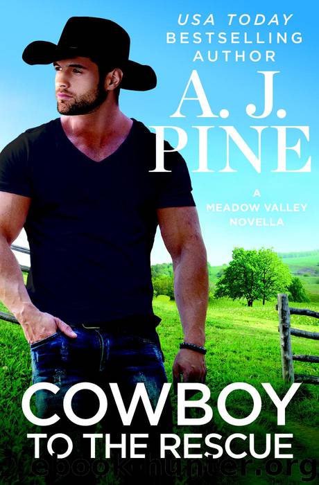 Cowboy to the Rescue by A.J. Pine