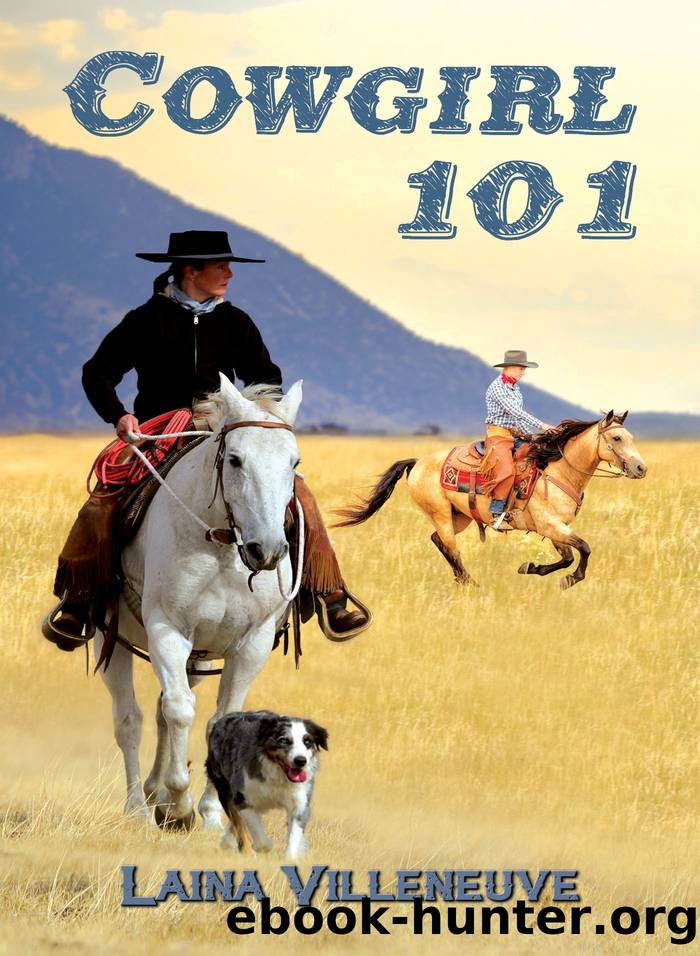 Cowgirl 101 by Laina Villeneuve