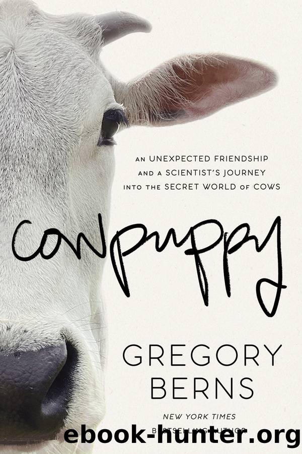 Cowpuppy by Gregory Berns