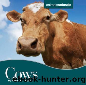 Cows by Renee C. Rebman