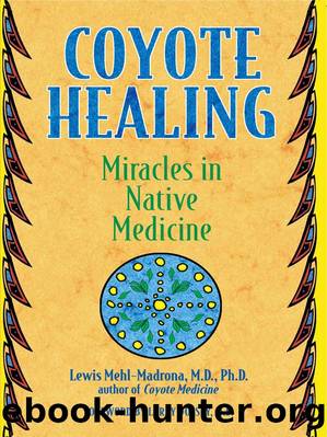 Coyote Healing by Lewis Mehl-Madrona