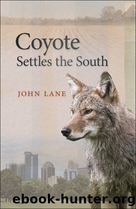 Coyote Settles the South by Lane John;