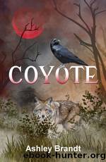 Coyote by Ashley Brandt