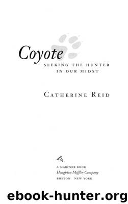 Coyote by Catherine Reid