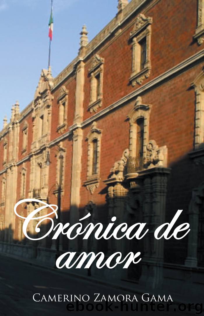 Crónica De Amor by camerino zamora gama