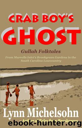 Crab Boy's Ghost, Gullah Folktales from Murrells Inlet's Brookgreen Gardens in the South Carolina Lowcountry by Lynn Michelsohn