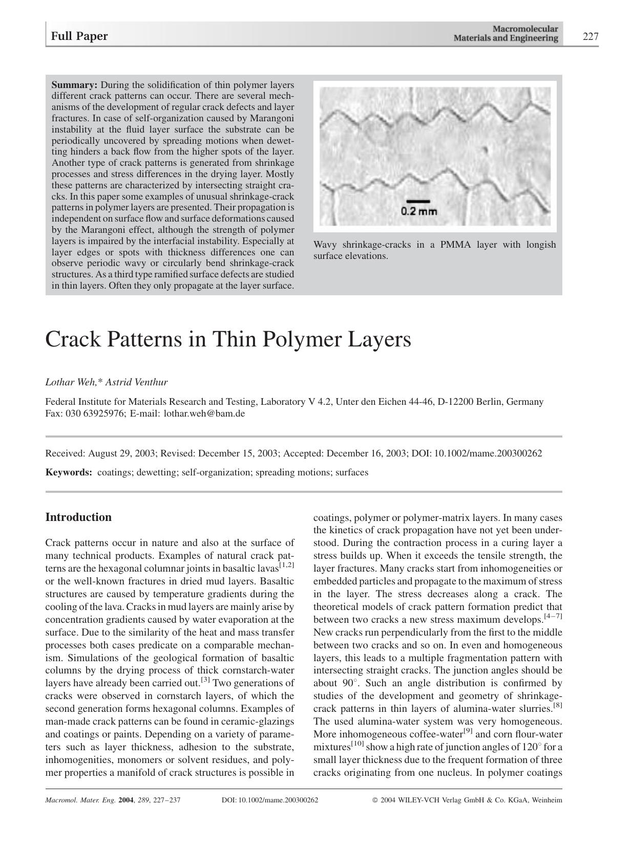 Crack Patterns in Thin Polymer Layers by Unknown