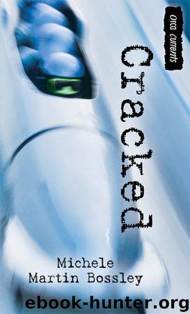 Cracked by Michele Bossley