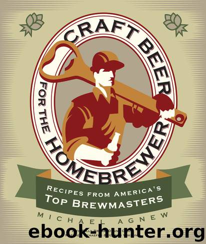 Craft Beer for the Homebrewer by Michael Agnew