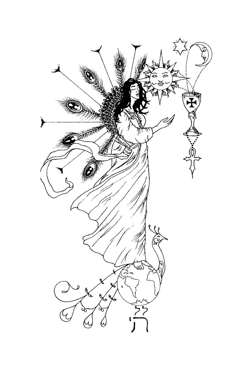 Craft of the Untamed: An Inspired Vision of Traditional Witchcraft by Nicholaj De Mattos Frisvold