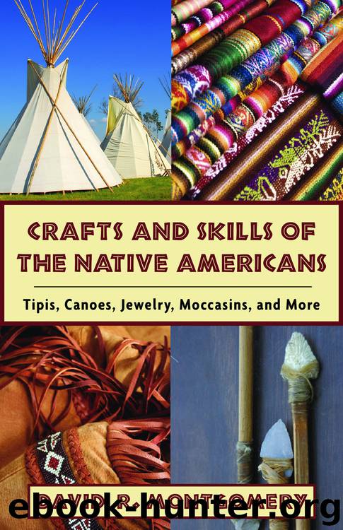 Crafts and Skills of the Native Americans by David R. Montgomery
