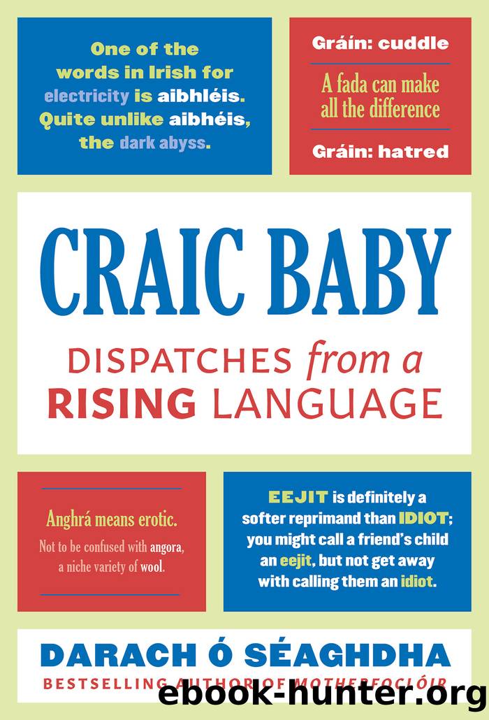 Craic Baby by O'Séaghdha Darach;