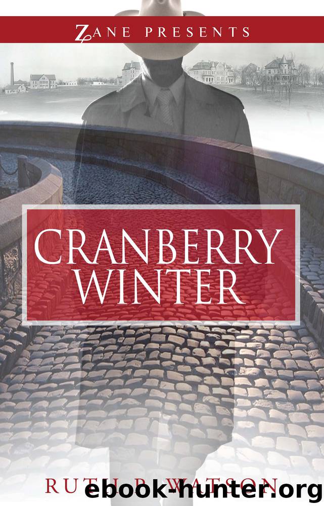 Cranberry Winter by Ruth P. Watson