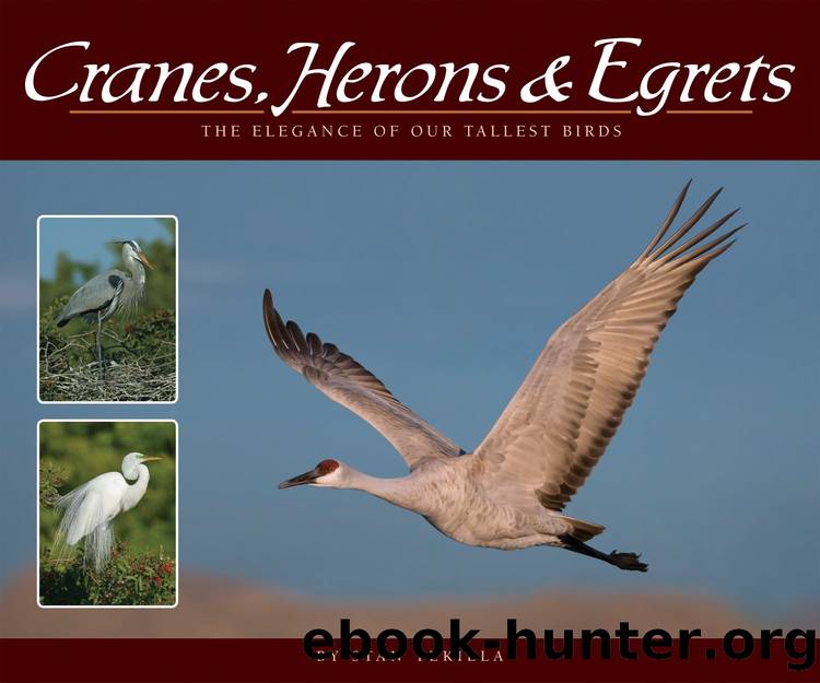 Cranes, Herons & Egrets by Stan Tekiela
