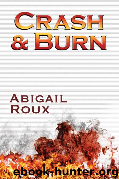 Crash & Burn (Cut & Run, #9) by Abigail Roux