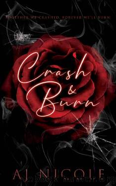 Crash & Burn by AJ Nicole