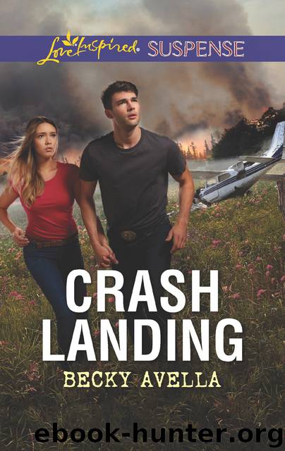 Crash Landing by Becky Avella