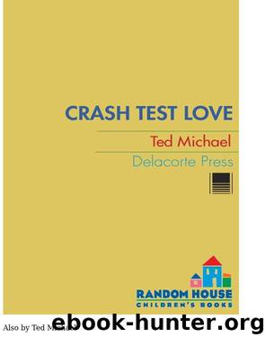 Crash Test Love by Ted Michael