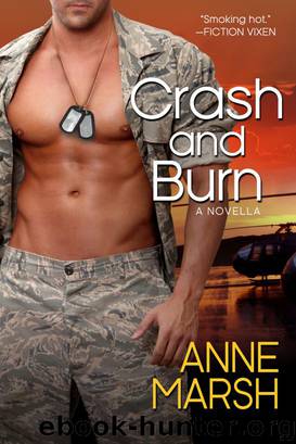Crash and Burn by Anne Marsh